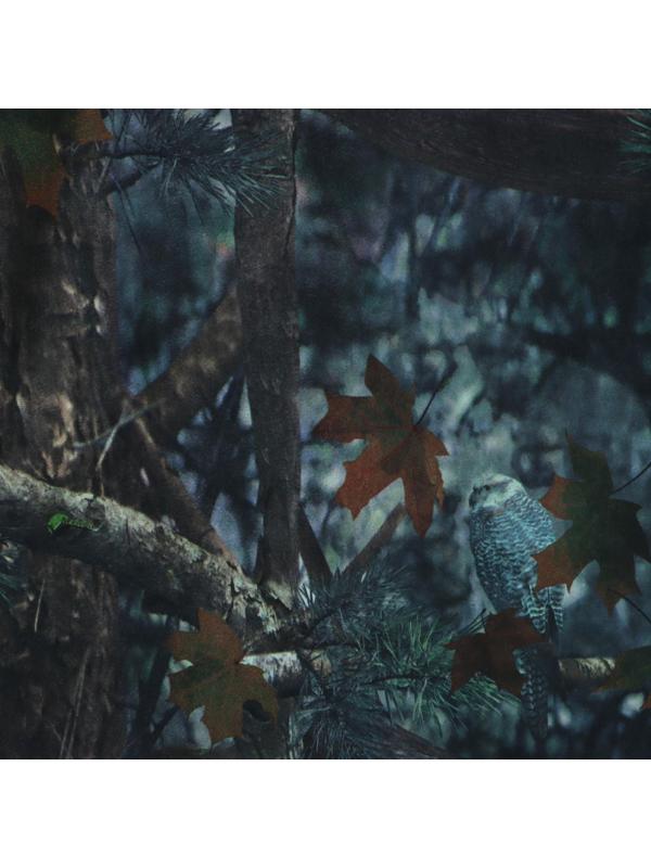 Костюм Лес, размер 48-50, рост 170-176, демисезонный, камуфляж, МИКС