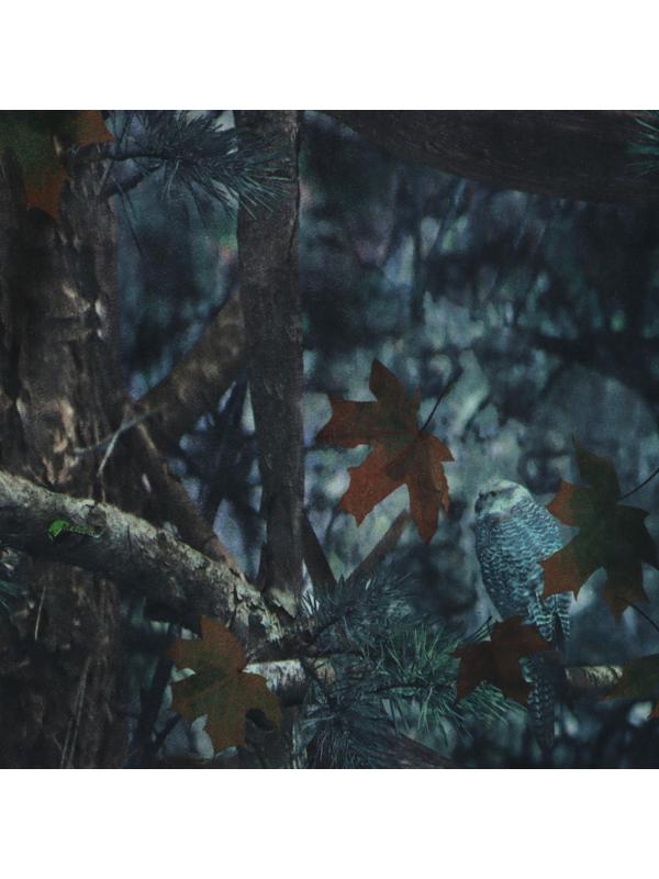 Костюм Лес, размер 52-54, рост 180-188, демисезонный, камуфляж, МИКС