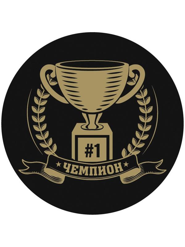 Шайба хоккейная детская «Чемпион»