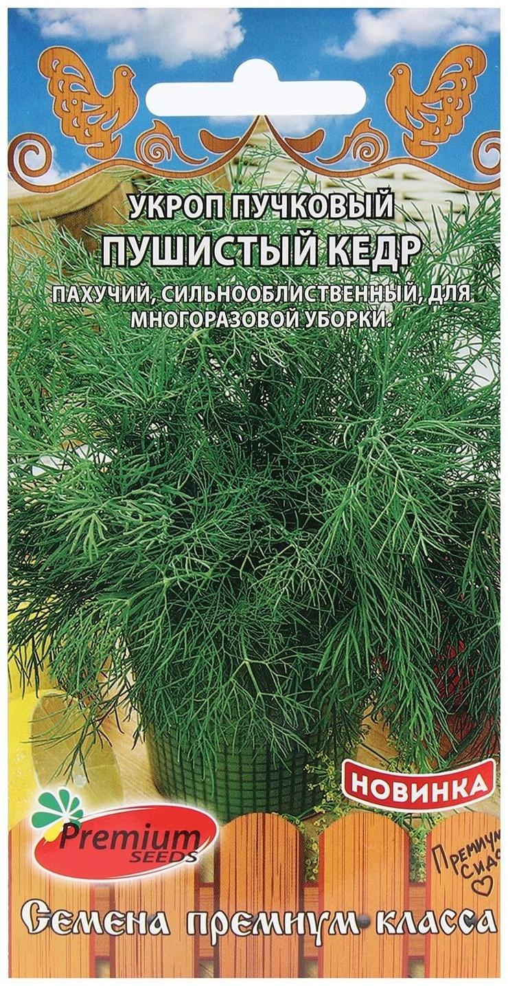 Семена Укроп пучковый 