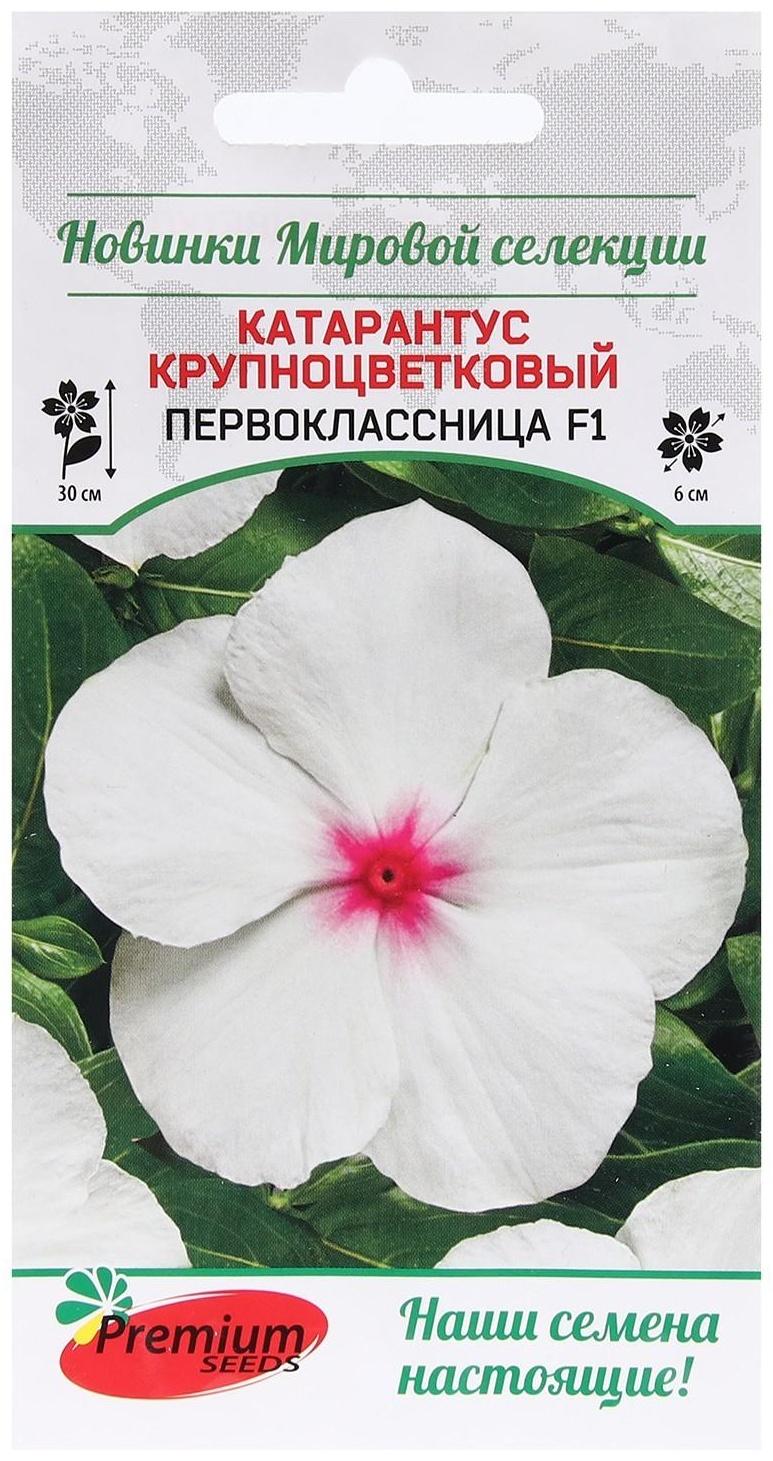 Семена Цветов Катарантус крупноцветковый 