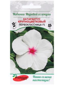 Семена Цветов Катарантус крупноцветковый 