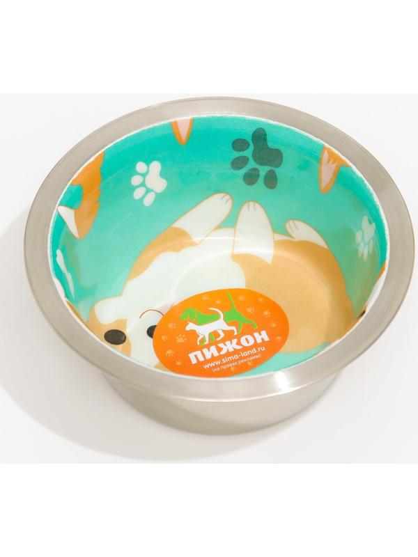 Миска стандартная цветная чаша, 200 мл