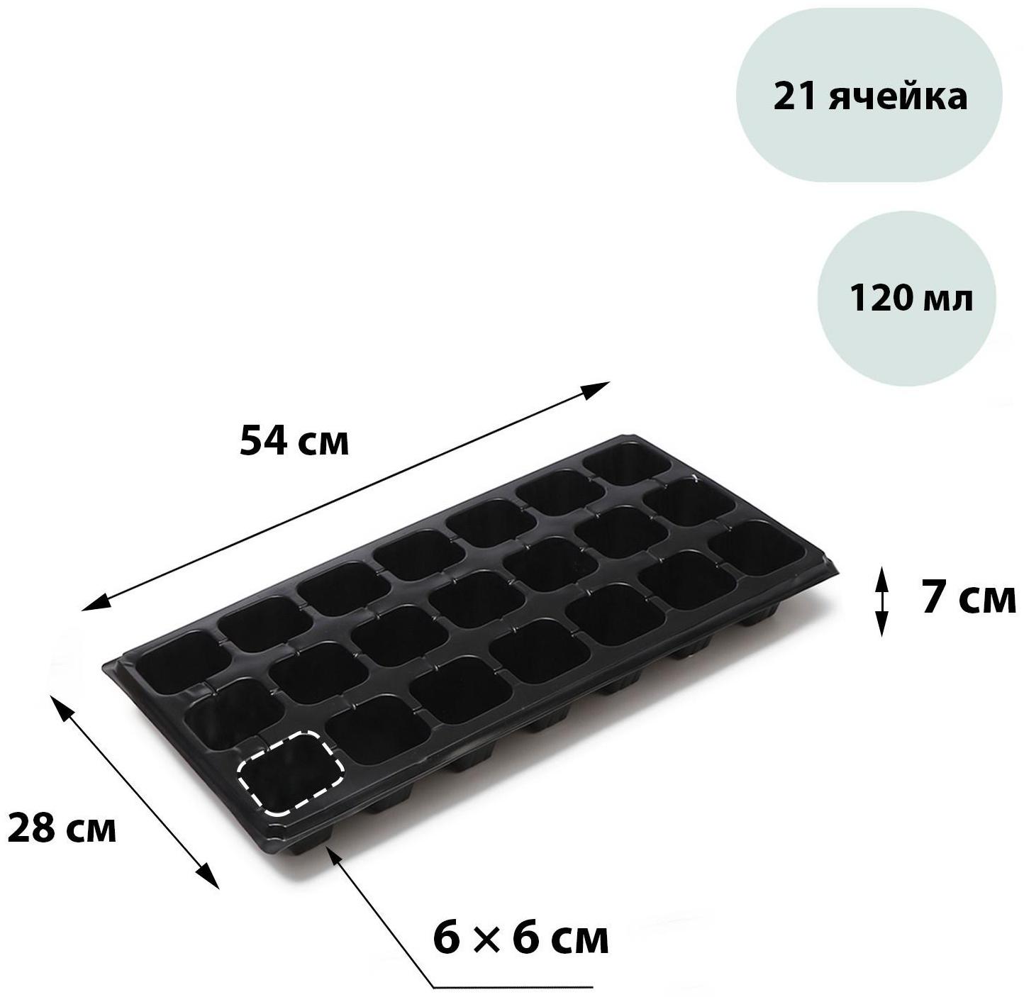 Кассета для рассады, 21 ячейка по 120 мл, чёрная, Greengo