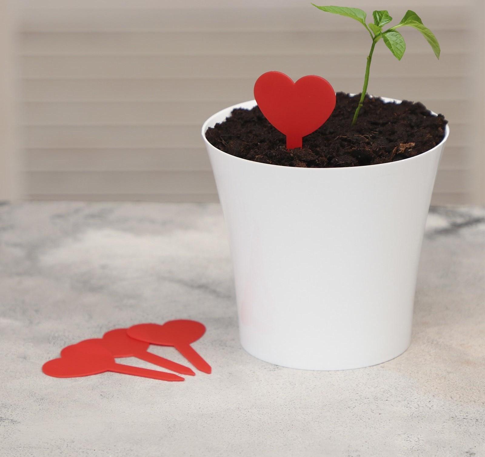 Таблички садовые для маркировки, 8 см, набор 20 шт., пластик, МИКС, Greengo