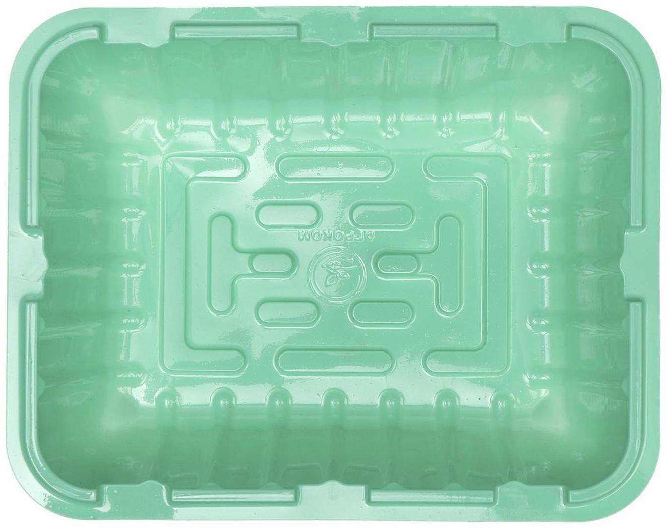 Мини-парник для рассады, 21,5 × 17 × 13 см, без вставок, зелёный