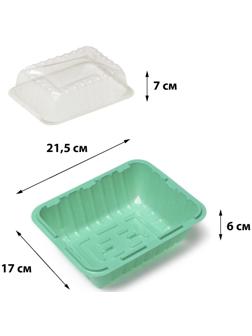 Мини-парник для рассады, 21,5 × 17 × 13 см, без вставок, зелёный