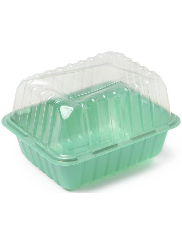 Мини-парник для рассады, 21,5 × 17 × 13 см, без вставок, зелёный