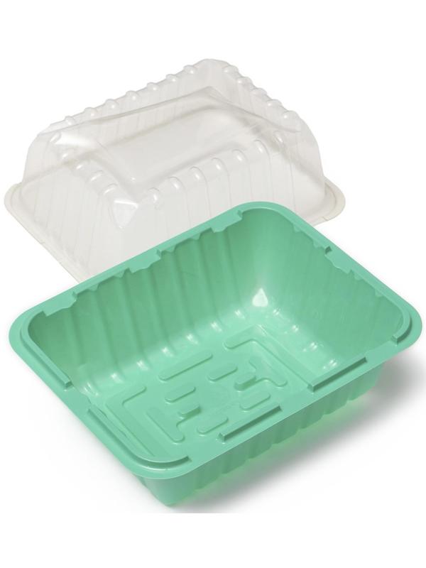 Мини-парник для рассады, 21,5 × 17 × 13 см, без вставок, зелёный