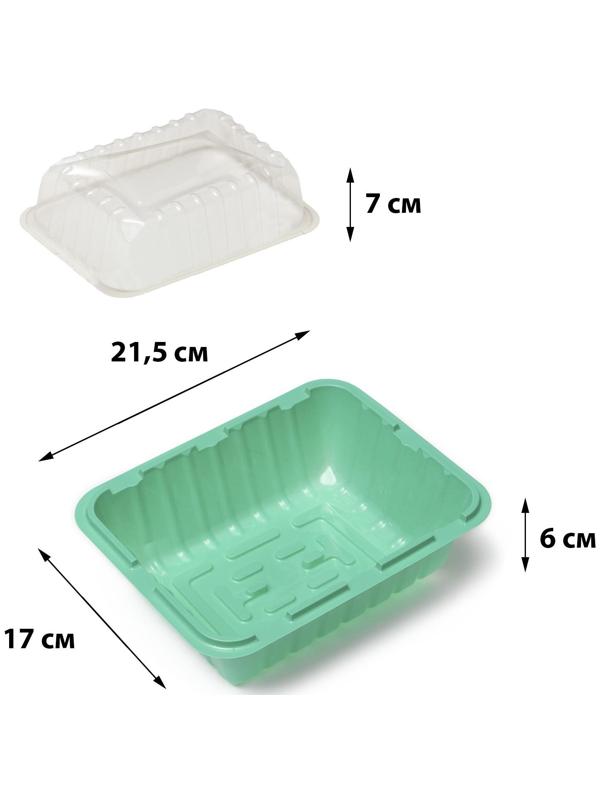 Мини-парник для рассады, 21,5 × 17 × 13 см, без вставок, зелёный