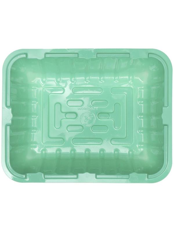 Мини-парник для рассады, 21,5 × 17 × 13 см, без вставок, зелёный