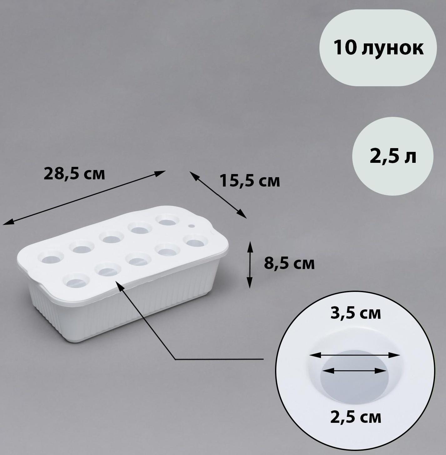 Ящик для рассады, 29 × 16 × 8,5 см, 2,5 л, 10 лунок, белый, Greengo