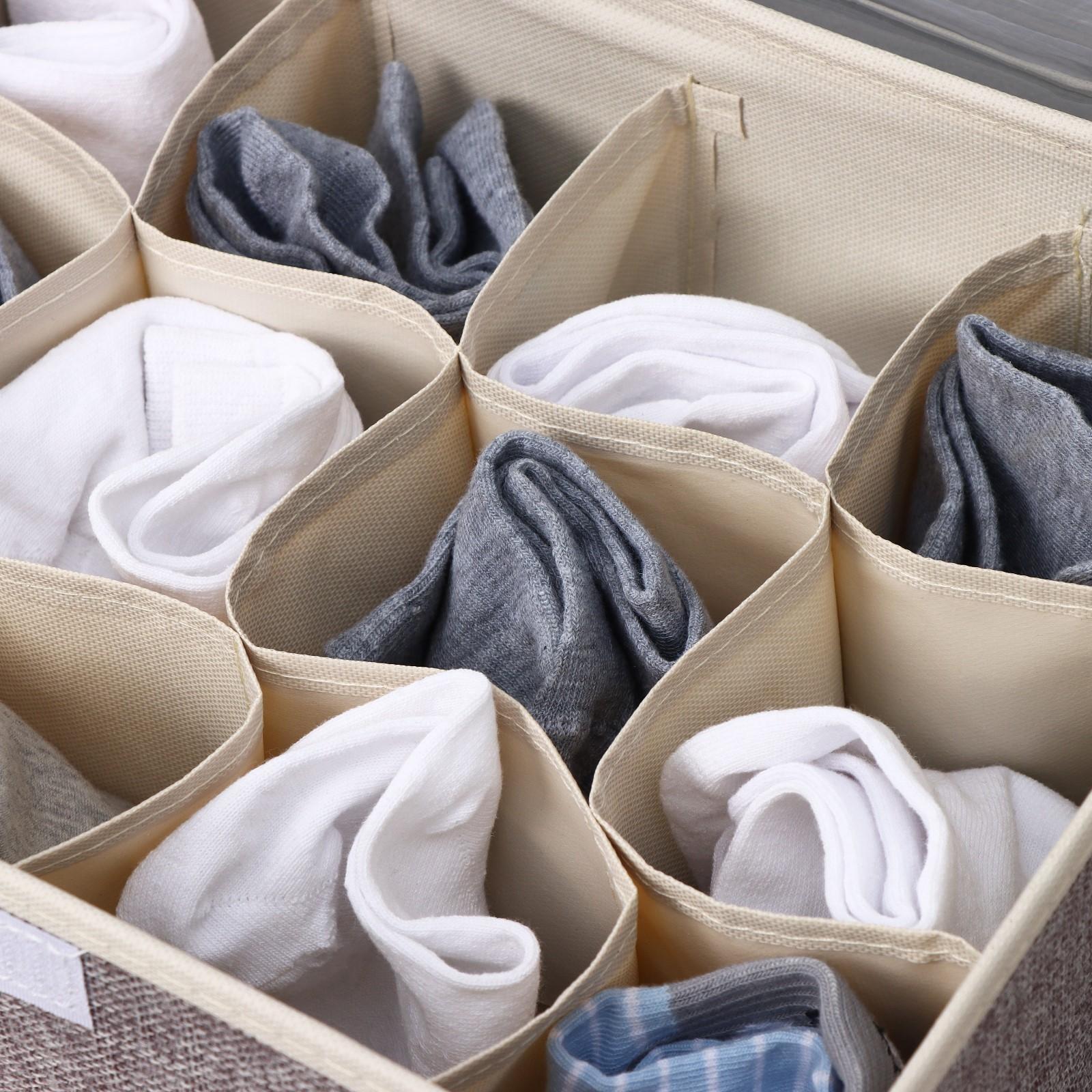 Органайзер для хранения белья с прозрачной крышкой Доляна «Тео», 12 отделений, 32×23×12 см, цвет серый