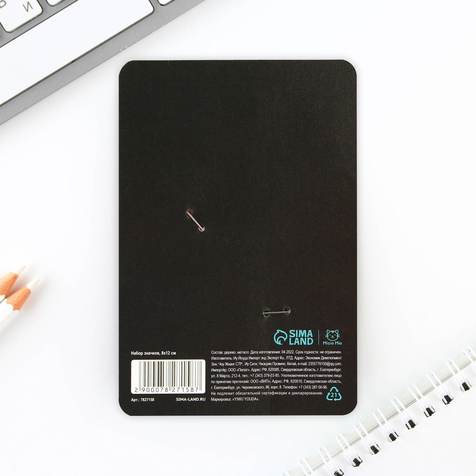 Набор значков «Нет никаких правил, веселись!», 8 х 12 см