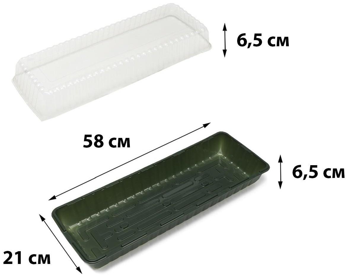 Мини-парник для рассады, 58 × 21 × 12 см, без вставок, тёмно-зелёный