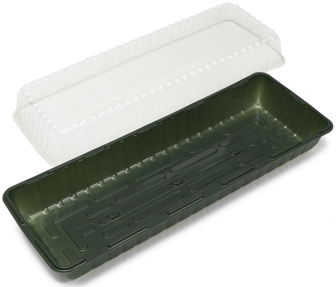 Мини-парник для рассады, 58 × 21 × 12 см, без вставок, тёмно-зелёный