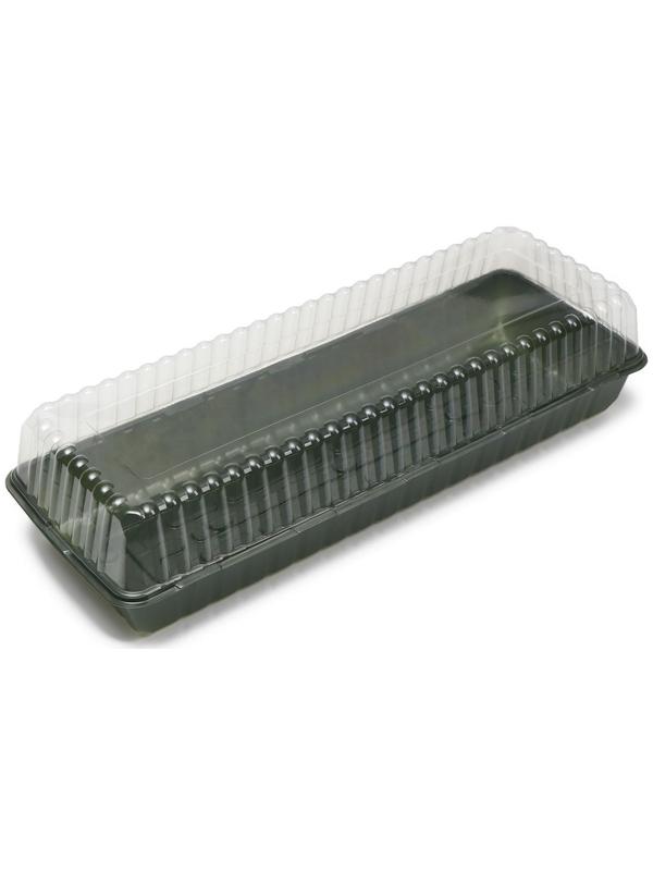 Мини-парник для рассады, 58 × 21 × 12 см, без вставок, тёмно-зелёный