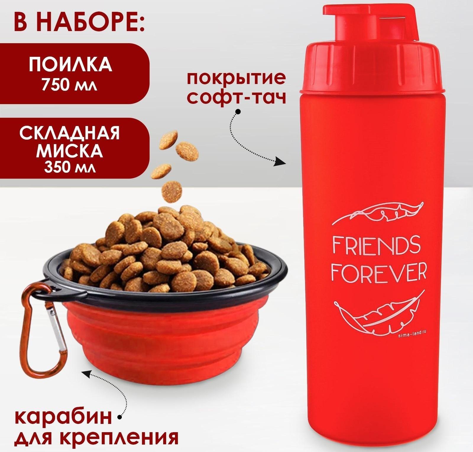 Набор поилка и силиконовая миска «‎Друзья навсегда»‎