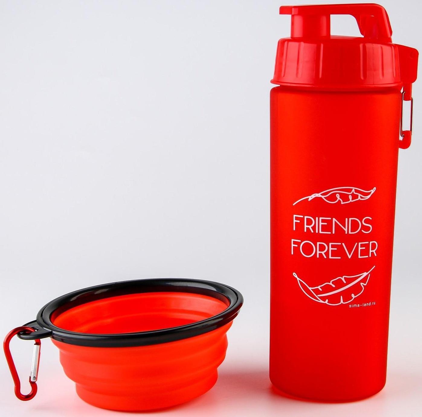 Набор поилка и силиконовая миска «‎Друзья навсегда»‎