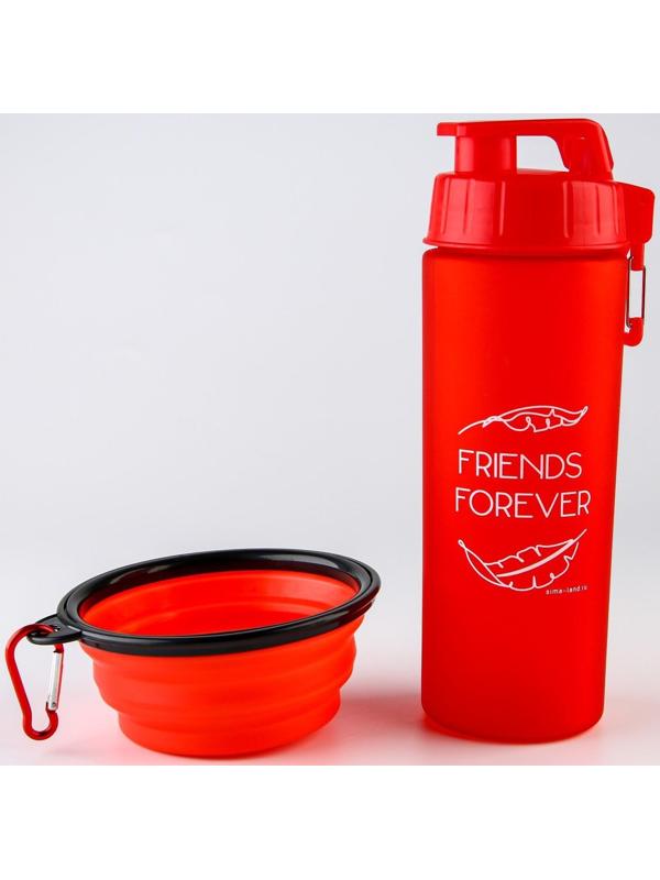 Набор поилка и силиконовая миска «‎Друзья навсегда»‎