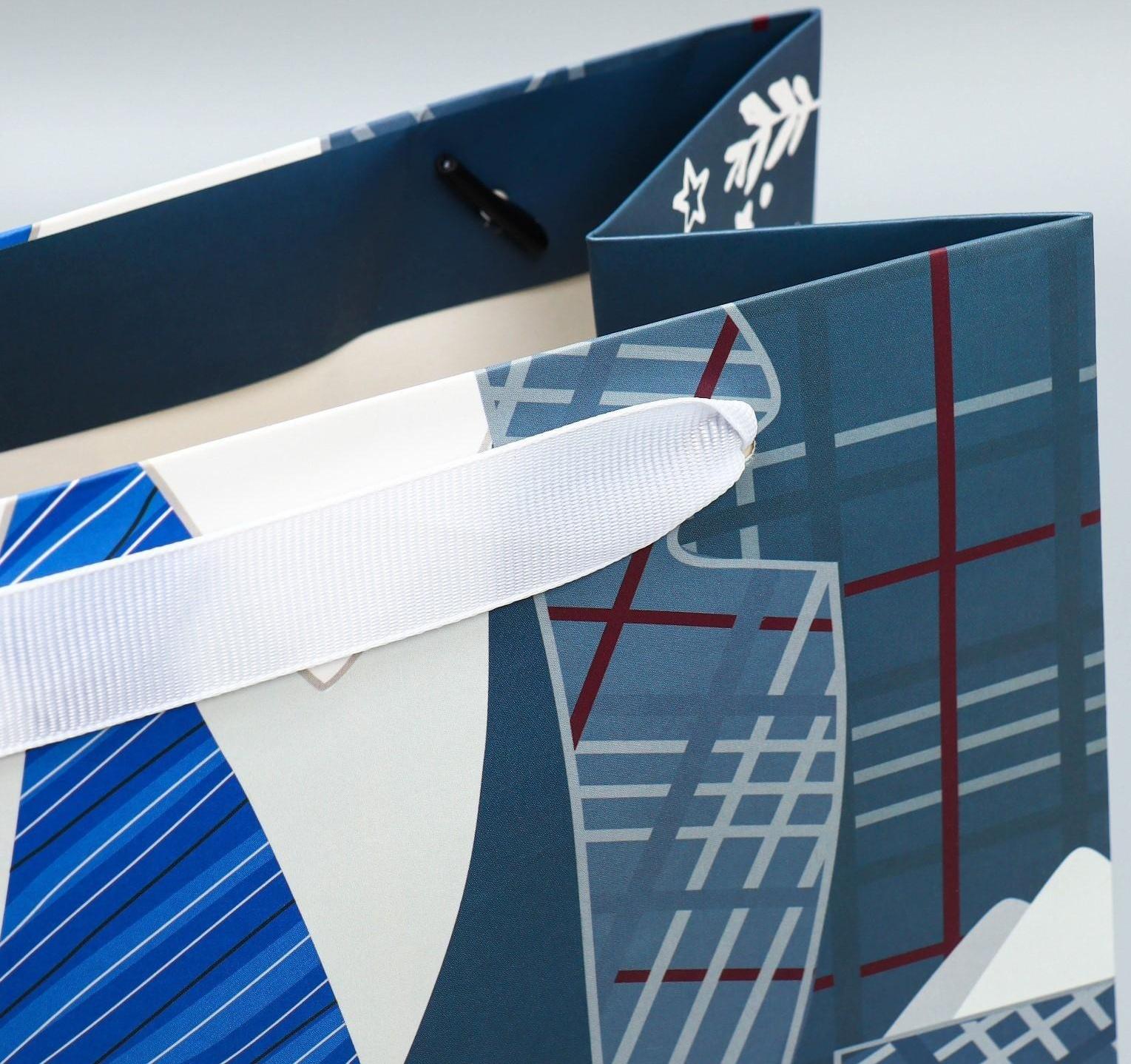 Пакет ламинированный вертикальный «Мой папа лучший», ML 27 × 23 × 11,5 см