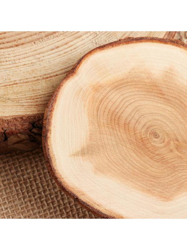 Подставка под кружку, 8-10 см, цельная, туя