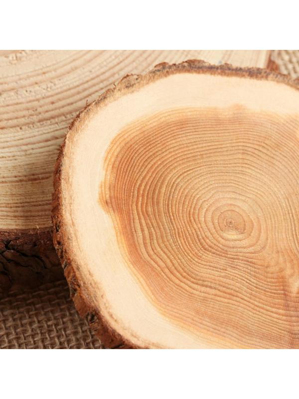 Подставка под кружку, 12-13 см, цельная, туя