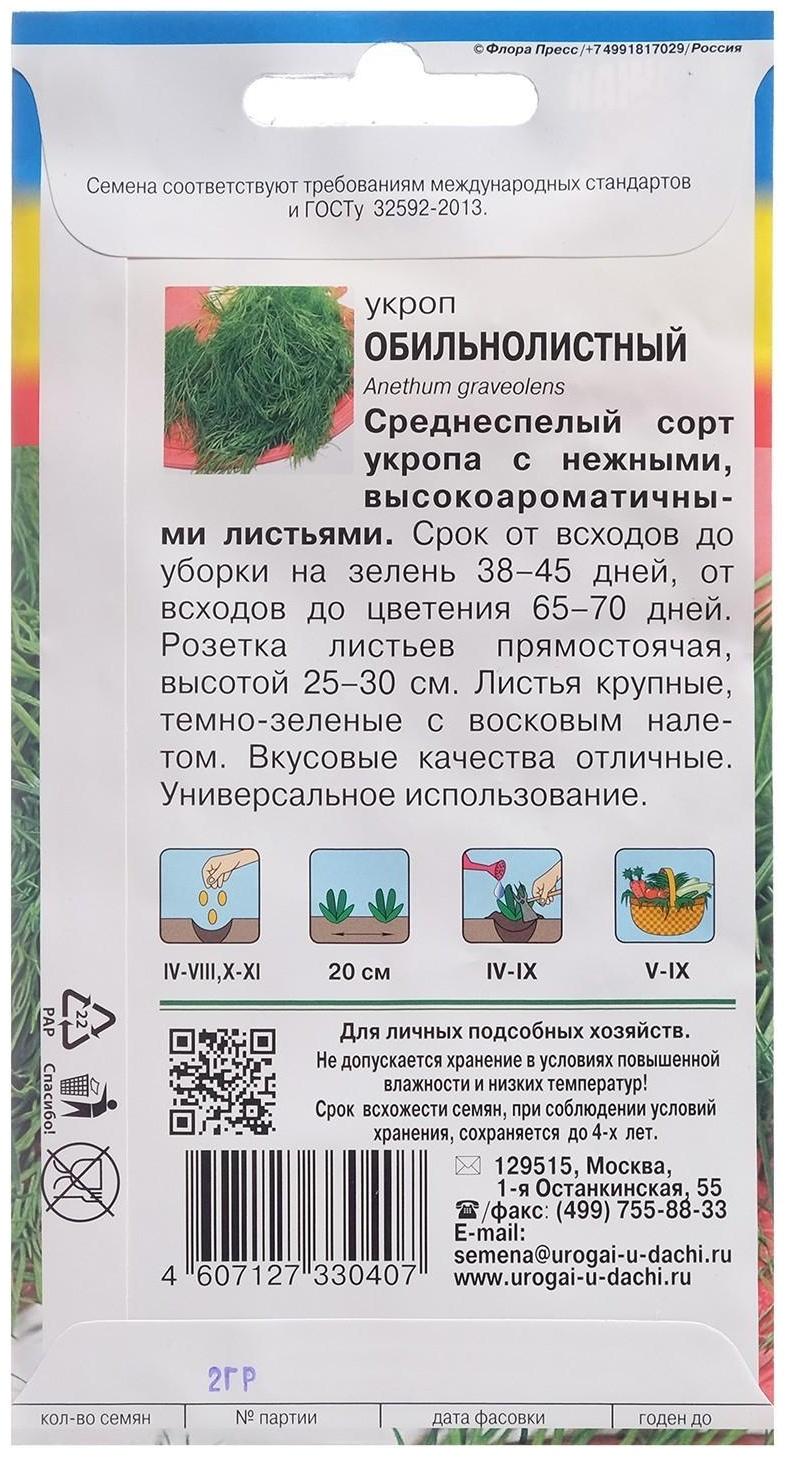 Семена Укроп 