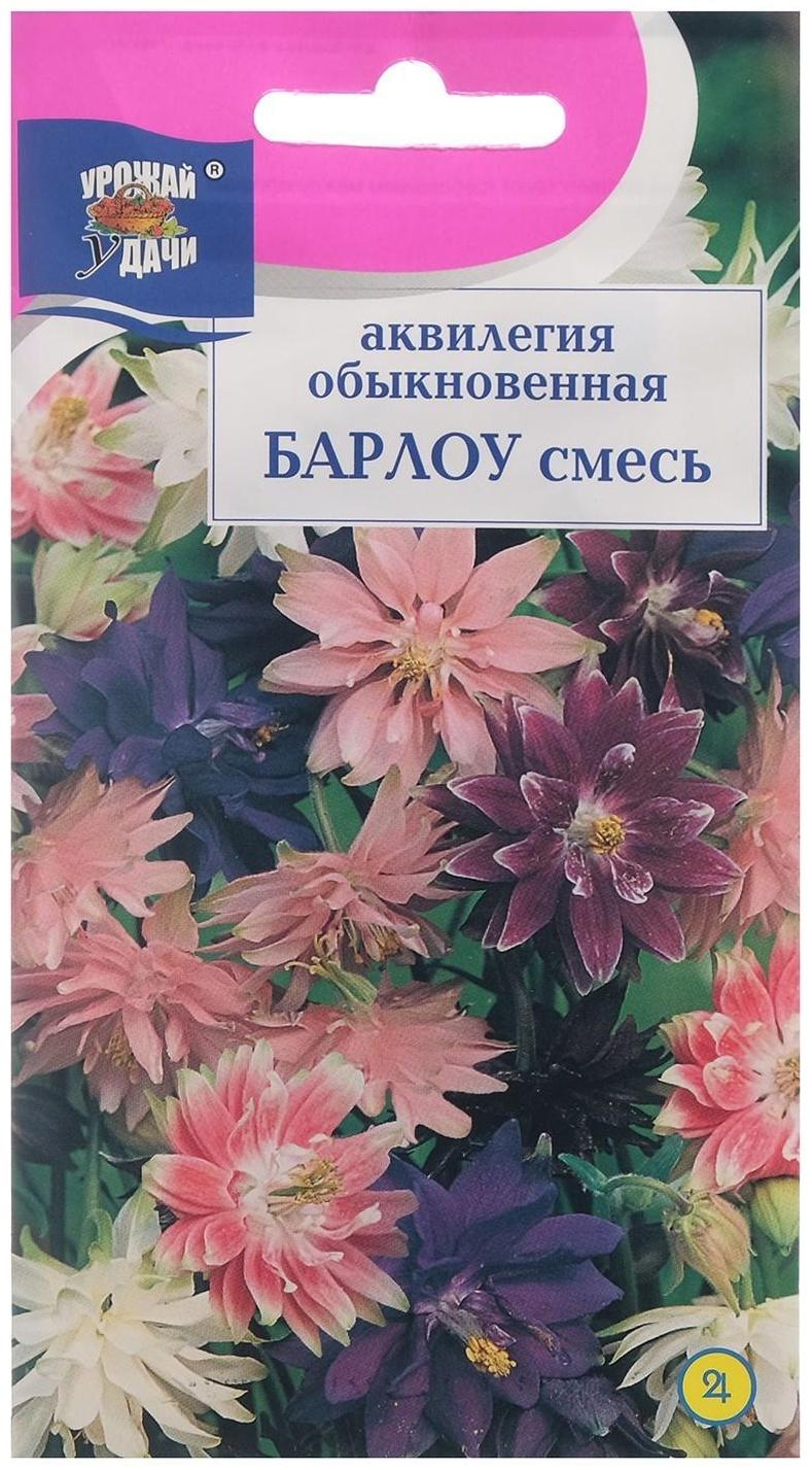 Семена цветов Аквилегия махровая 