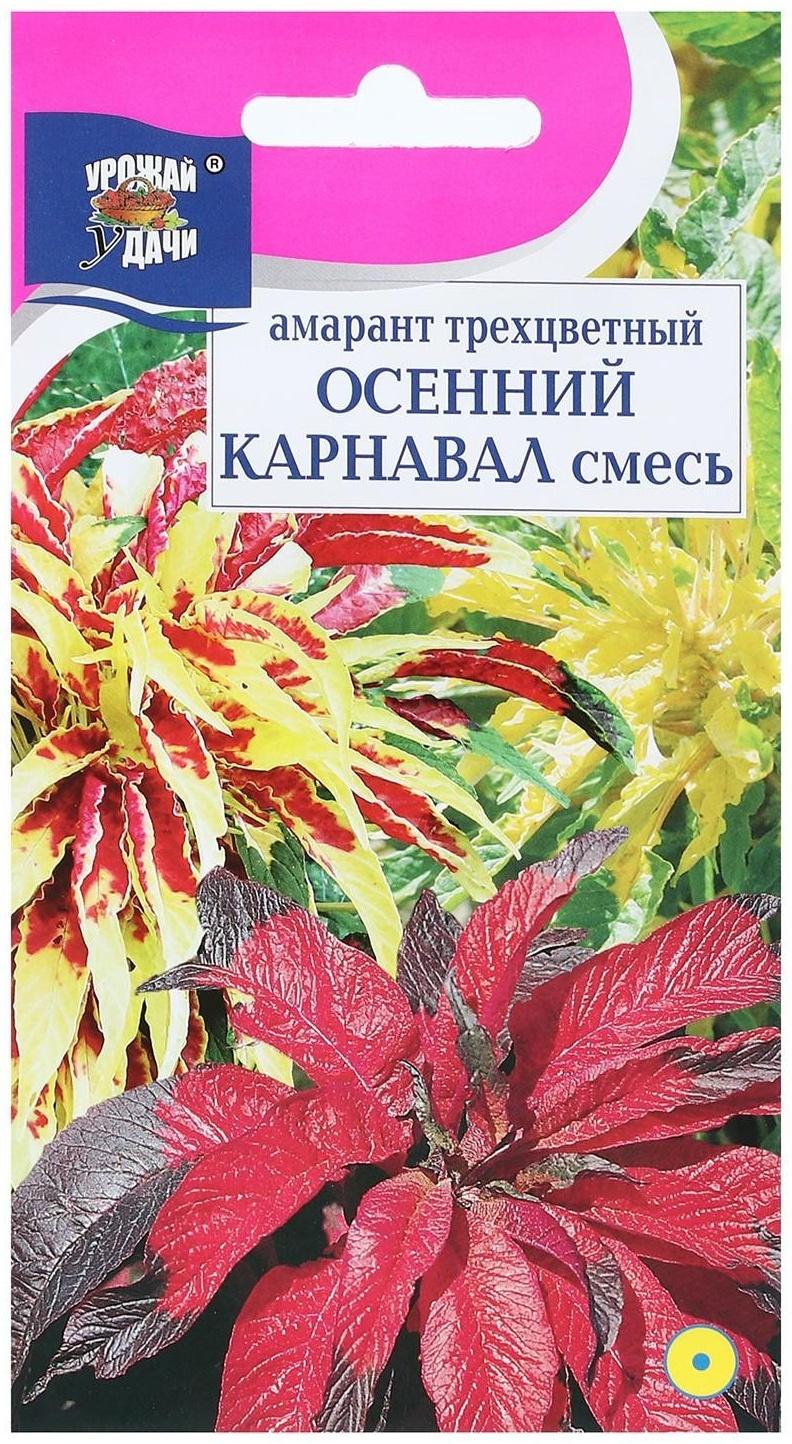 Семена цветов Амарант трёхцветная 