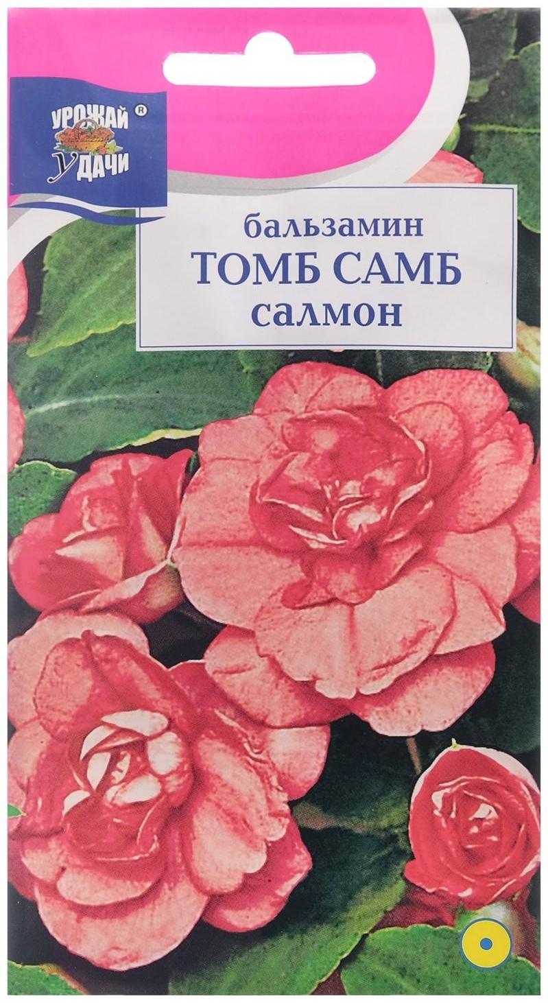 Семена цветов Бальзамин 