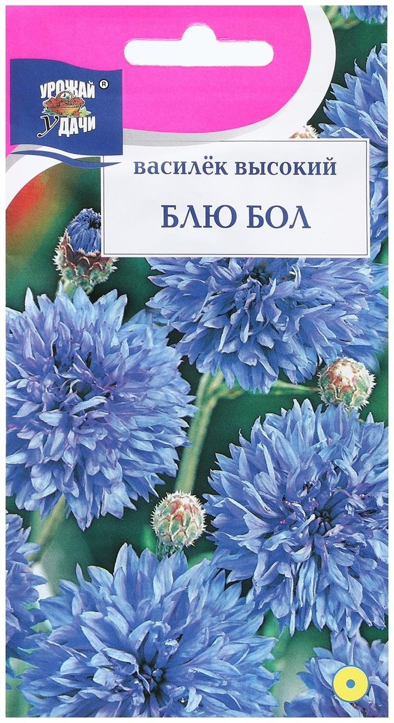 Семена цветов Василек 