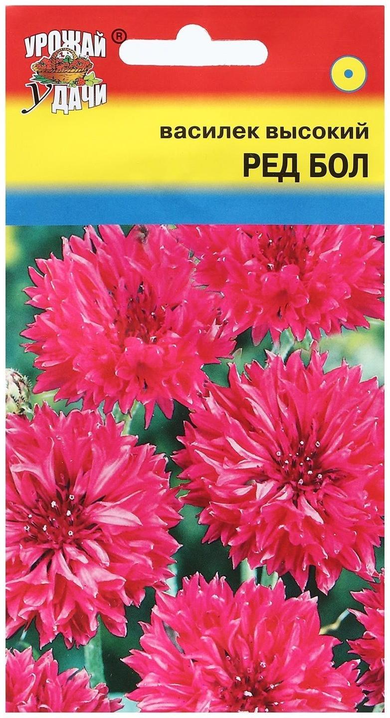 Семена цветов Василек 