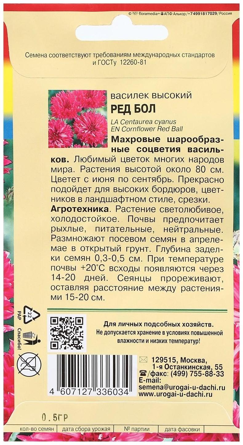 Семена цветов Василек 