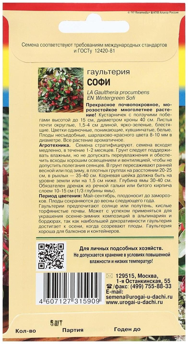 Семена цветов Гаультерия 