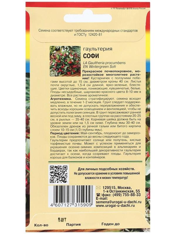 Семена цветов Гаультерия 