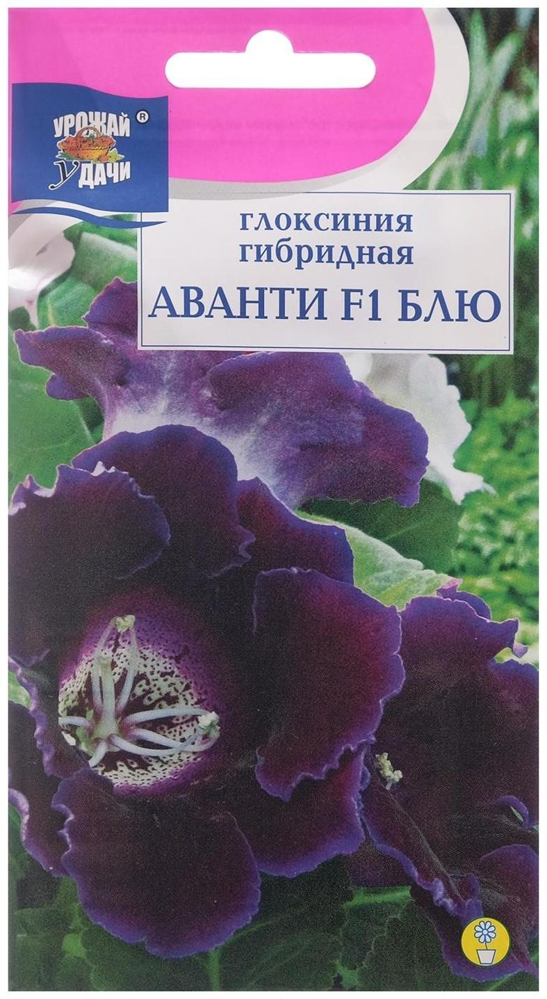 Семена цветов Глоксиния 