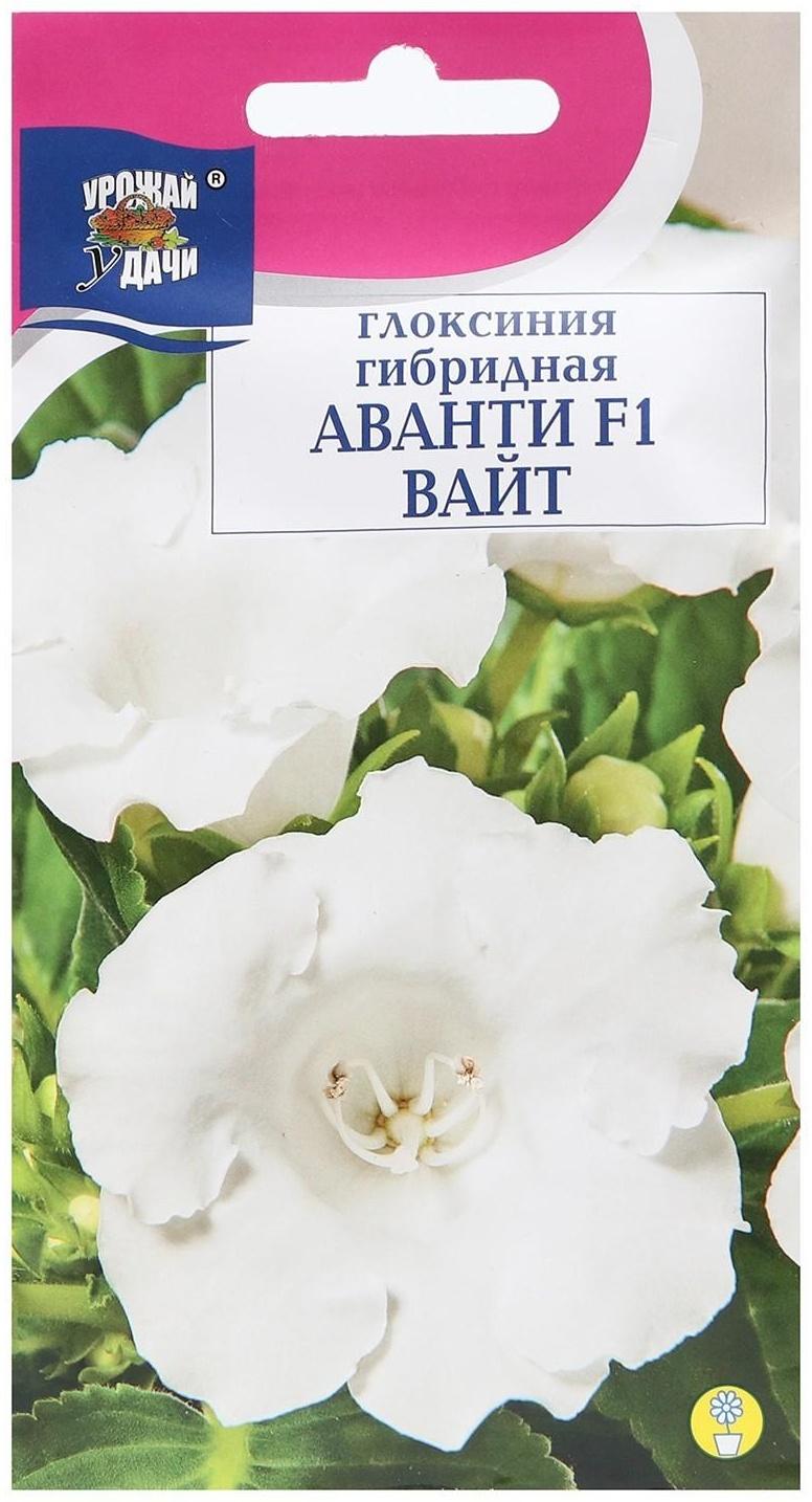 Семена цветов Глоксиния 