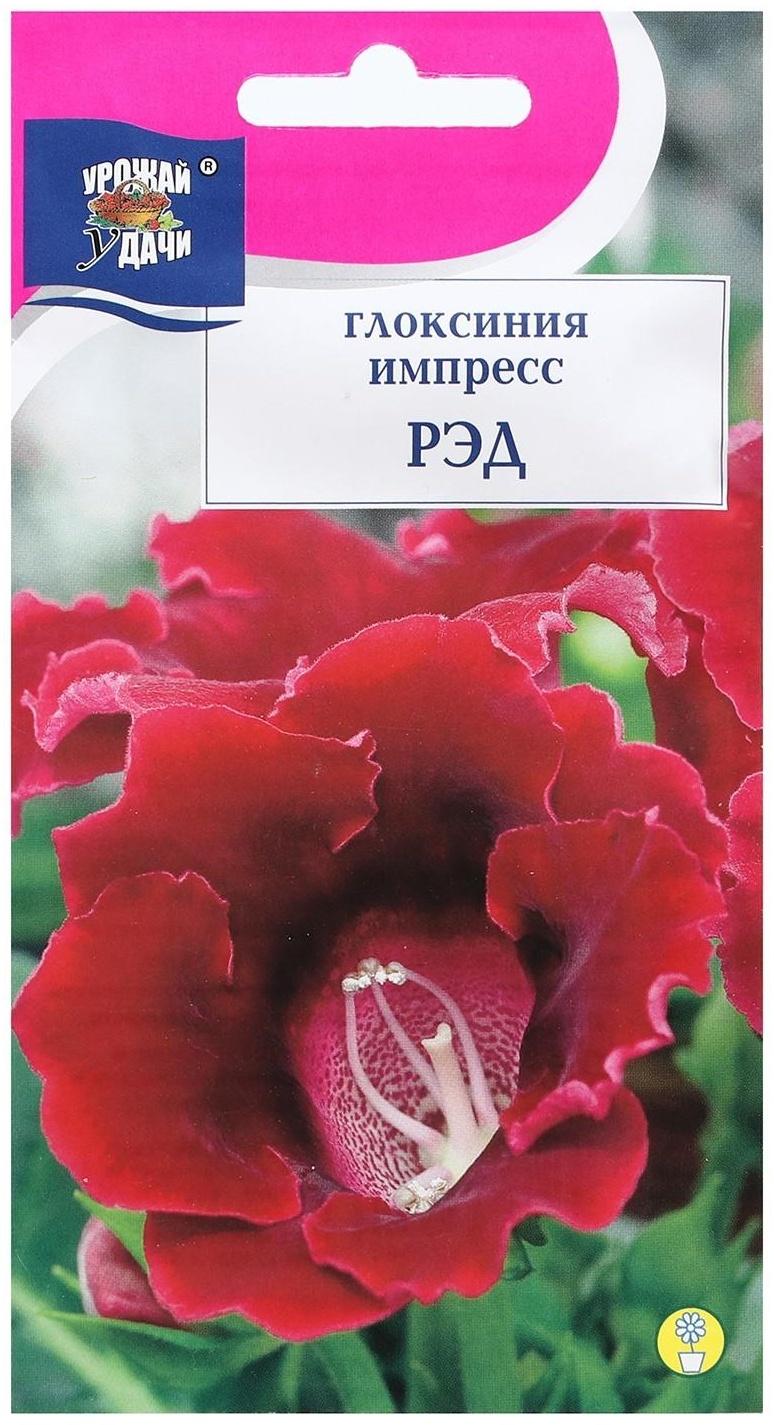 Семена цветов Глоксиния 