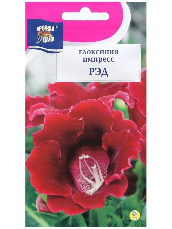 Семена цветов Глоксиния 