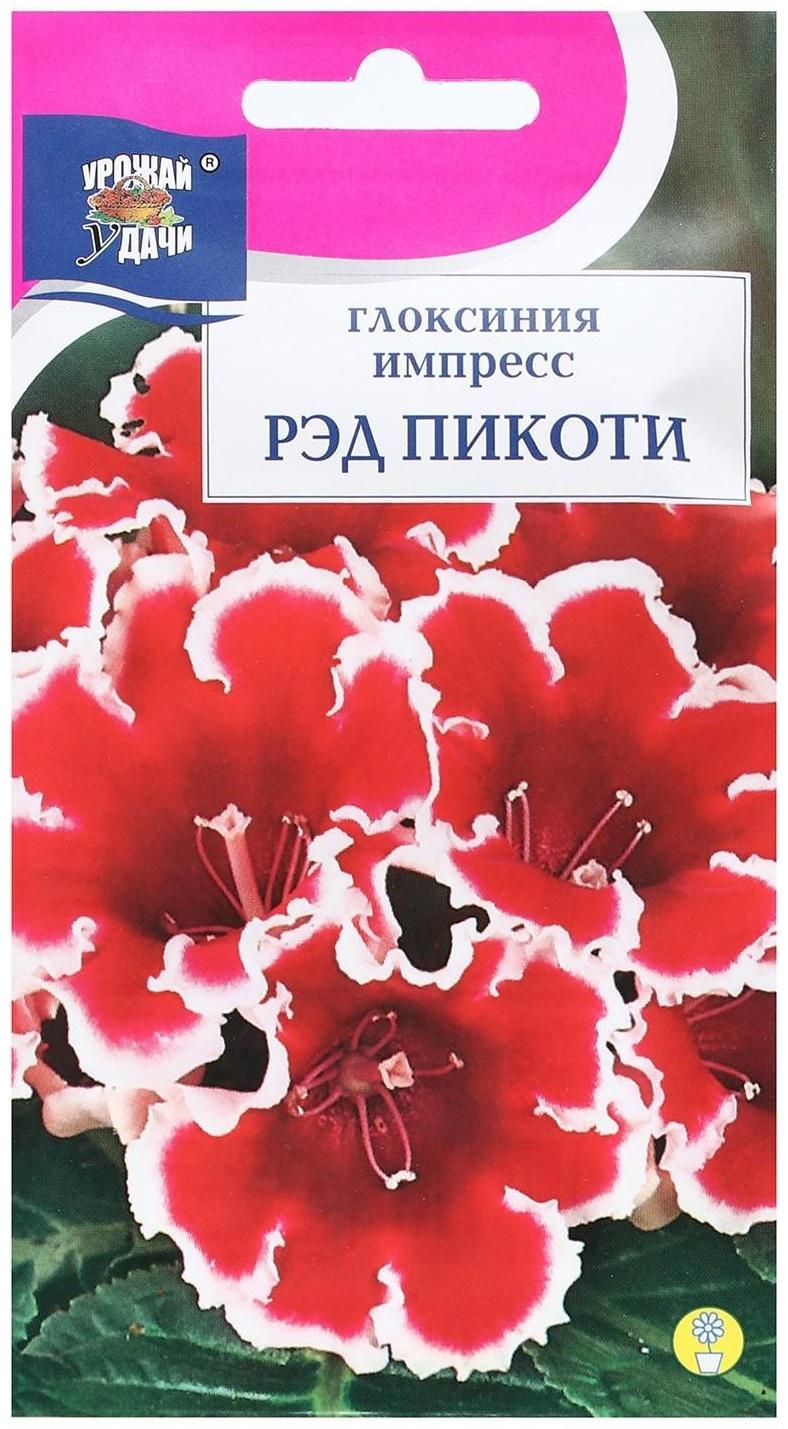 Семена цветов Глоксиния 