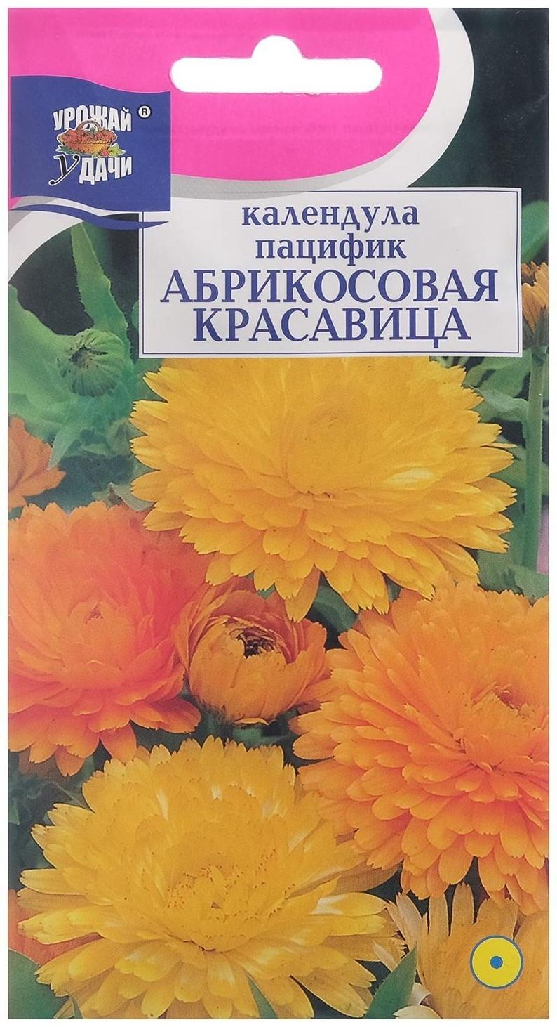 Семена цветов Календула 