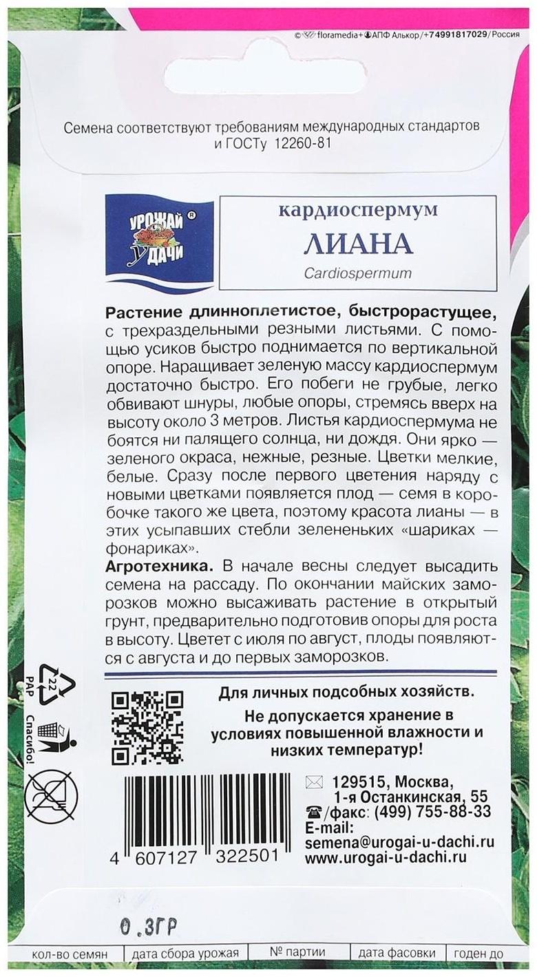Семена цветов Кардиоспермум 