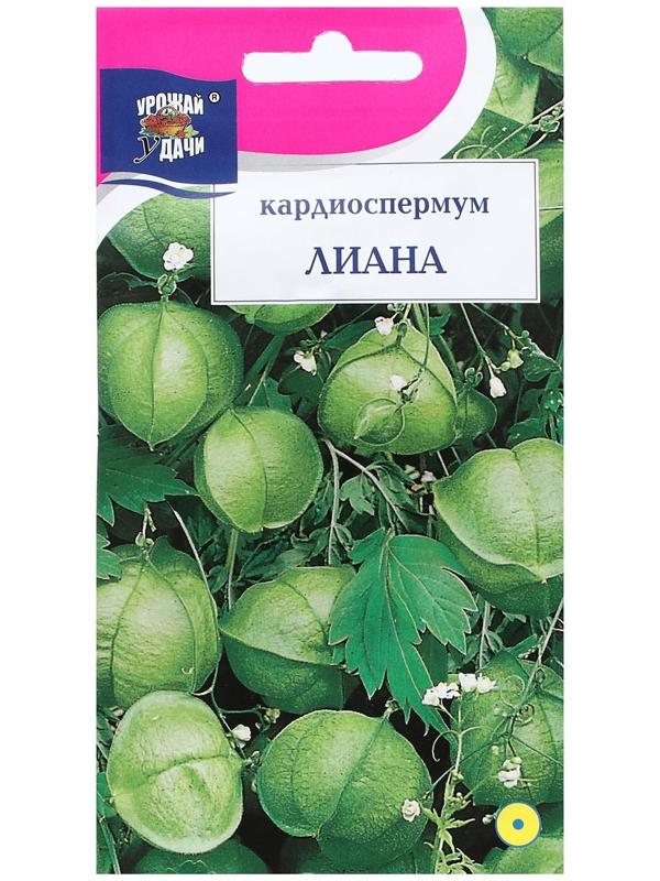 Семена цветов Кардиоспермум 