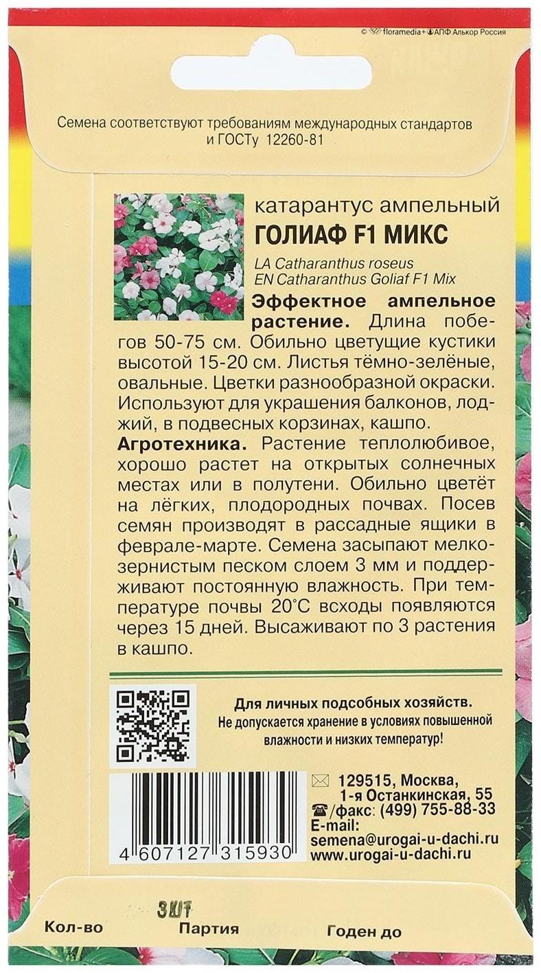 Семена цветов Катарантус 