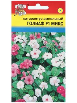 Семена цветов Катарантус 