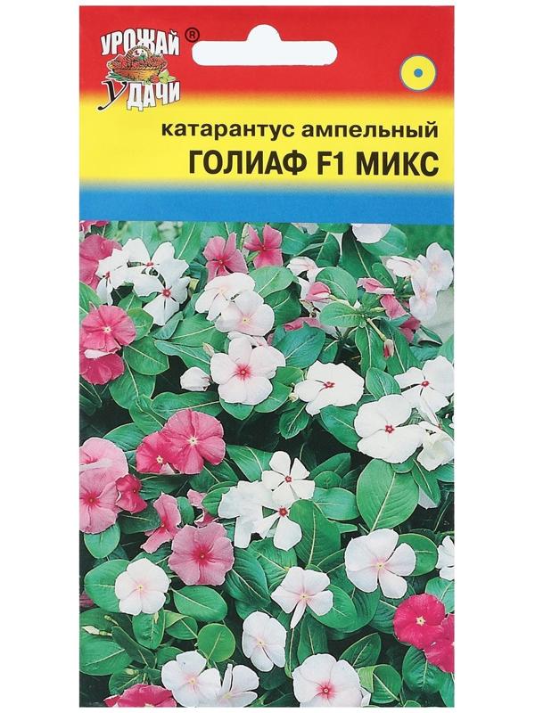 Семена цветов Катарантус 