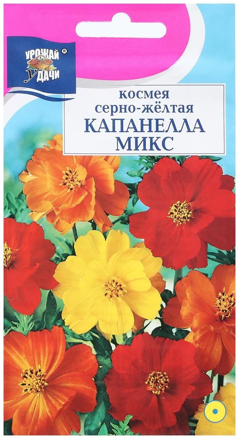 Семена цветов Космея 