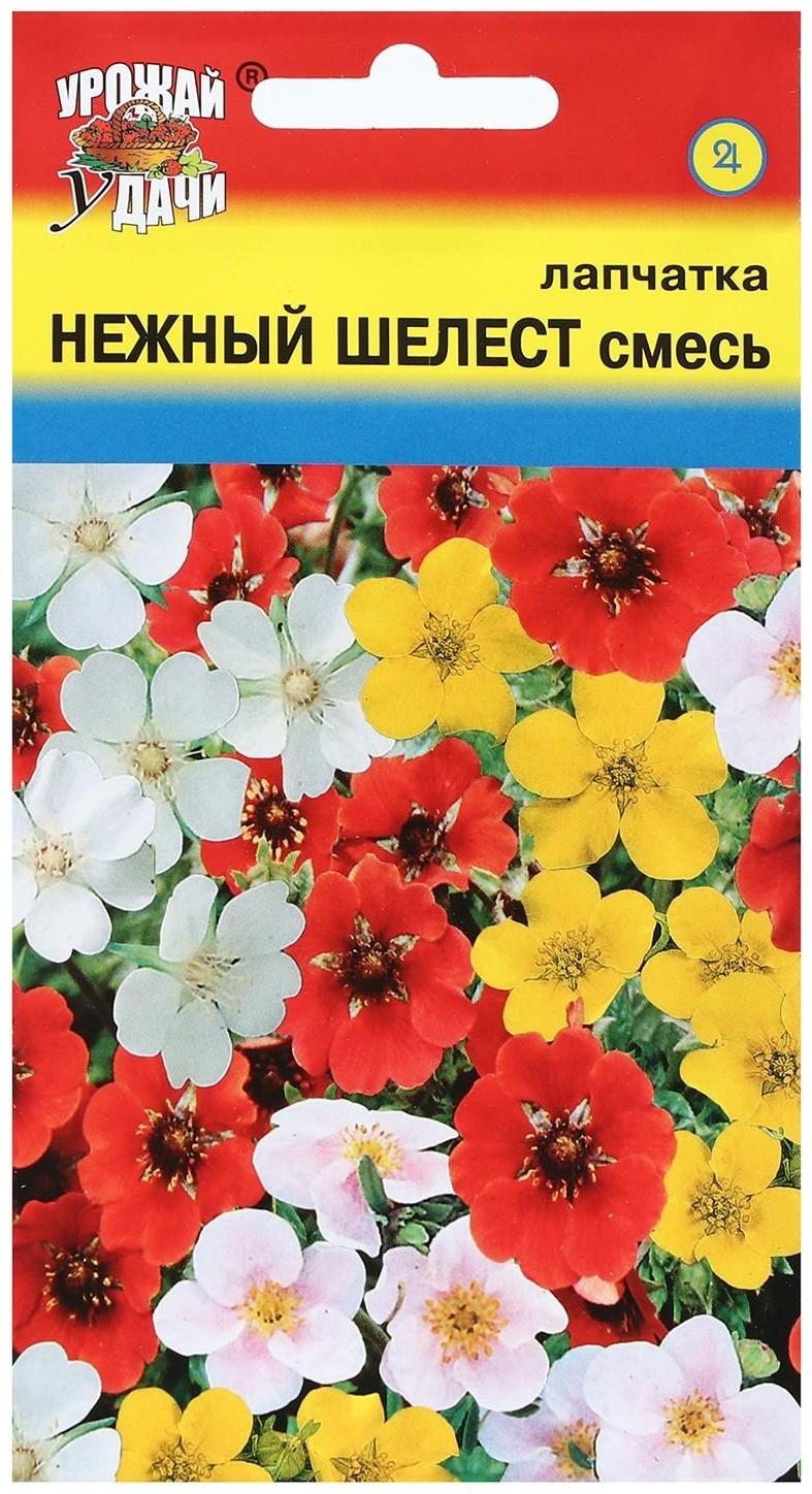 Семена цветов Лапчатка 