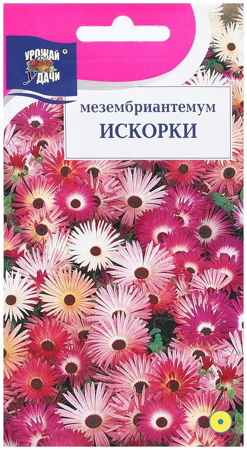 Семена цветов Мезембриантемум 